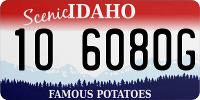 ID license plate 1O6080G