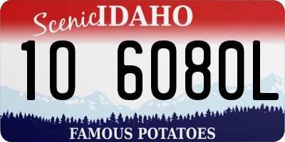ID license plate 1O6080L