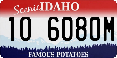 ID license plate 1O6080M