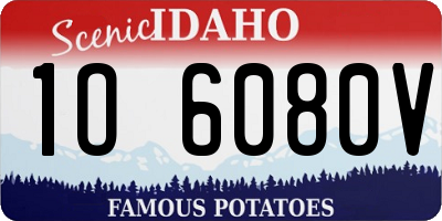 ID license plate 1O6080V