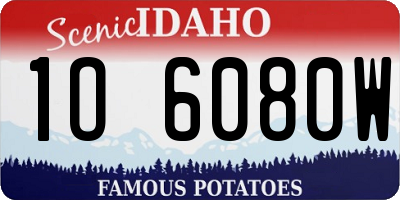 ID license plate 1O6080W