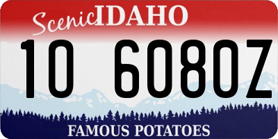 ID license plate 1O6080Z