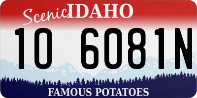 ID license plate 1O6081N