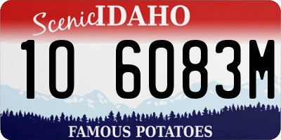 ID license plate 1O6083M