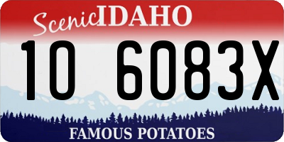 ID license plate 1O6083X