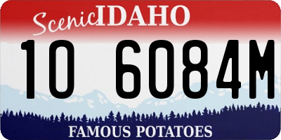 ID license plate 1O6084M