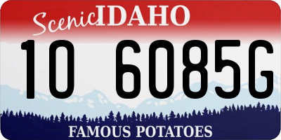 ID license plate 1O6085G