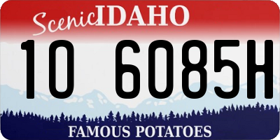 ID license plate 1O6085H