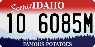 ID license plate 1O6085M
