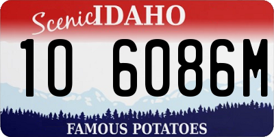 ID license plate 1O6086M