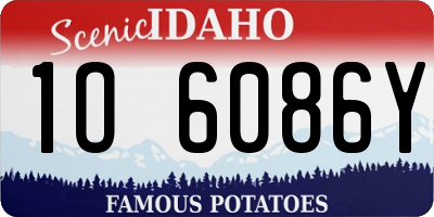 ID license plate 1O6086Y
