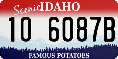 ID license plate 1O6087B