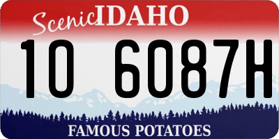 ID license plate 1O6087H