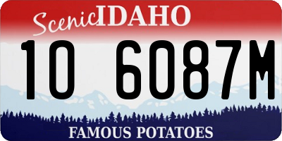 ID license plate 1O6087M