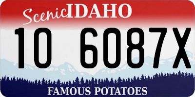 ID license plate 1O6087X