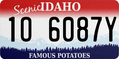 ID license plate 1O6087Y
