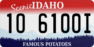 ID license plate 1O6100I