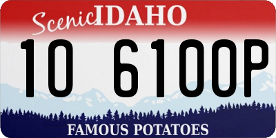 ID license plate 1O6100P