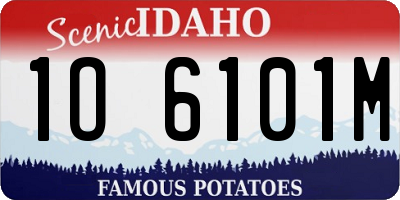 ID license plate 1O6101M