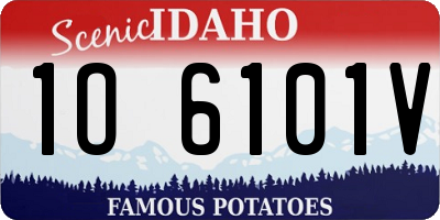 ID license plate 1O6101V