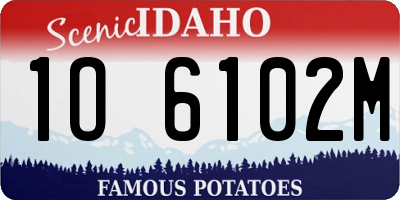 ID license plate 1O6102M