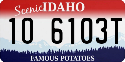 ID license plate 1O6103T