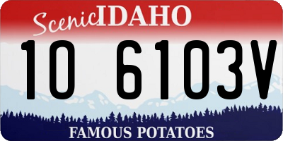 ID license plate 1O6103V