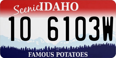 ID license plate 1O6103W