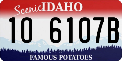ID license plate 1O6107B