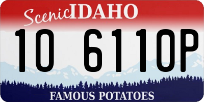 ID license plate 1O6110P