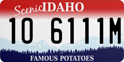 ID license plate 1O6111M