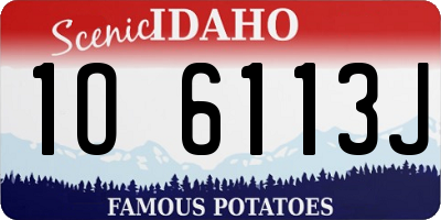 ID license plate 1O6113J