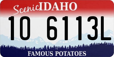 ID license plate 1O6113L