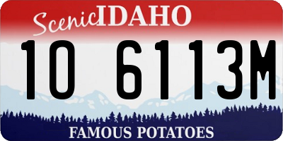 ID license plate 1O6113M