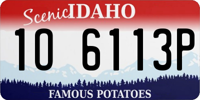 ID license plate 1O6113P
