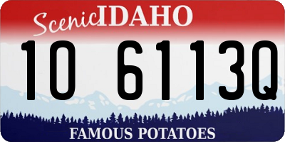 ID license plate 1O6113Q