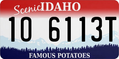 ID license plate 1O6113T