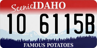 ID license plate 1O6115B