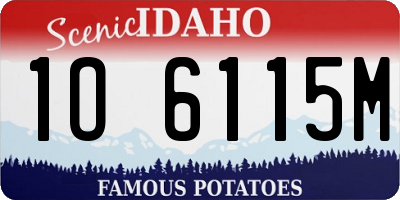 ID license plate 1O6115M
