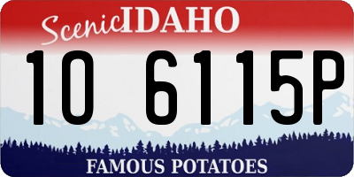 ID license plate 1O6115P