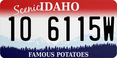 ID license plate 1O6115W