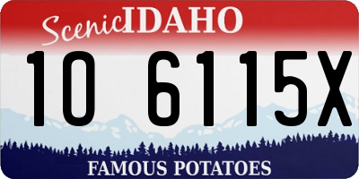 ID license plate 1O6115X