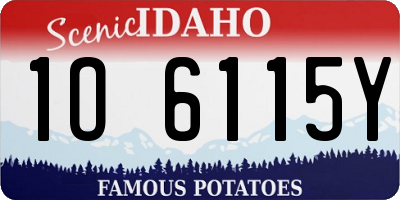 ID license plate 1O6115Y