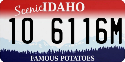 ID license plate 1O6116M