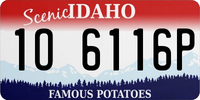 ID license plate 1O6116P