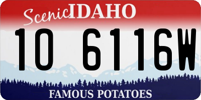 ID license plate 1O6116W