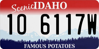 ID license plate 1O6117W