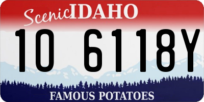 ID license plate 1O6118Y