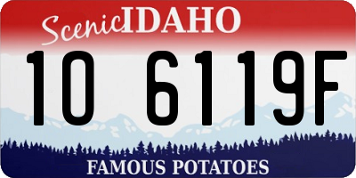 ID license plate 1O6119F