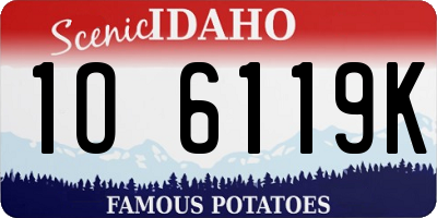 ID license plate 1O6119K